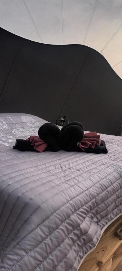 Bulles D Etoiles Lodge *